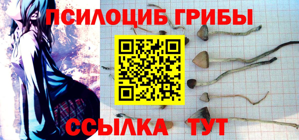 Кимры  Псилоцибиновые грибы GOLDEN TEACHER  Вход с VPN 