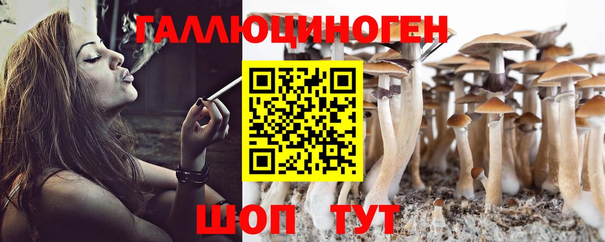 Псилоцибиновые грибы Psilocybe Кимры